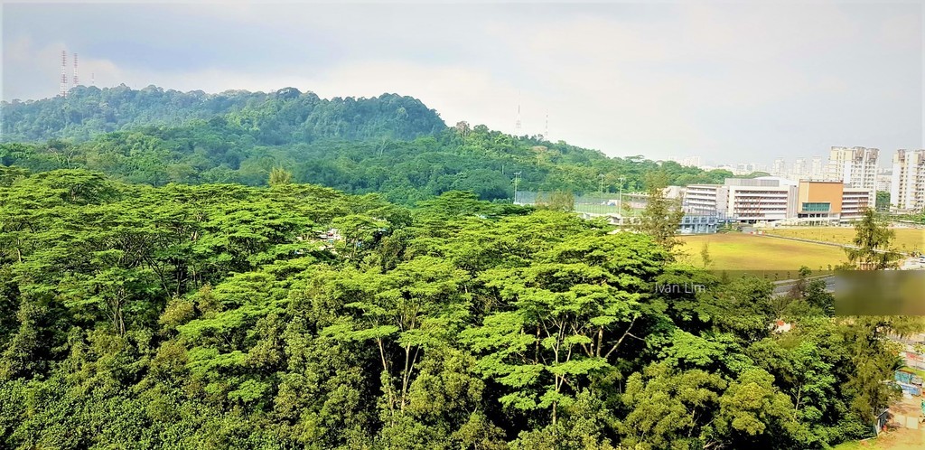 Foresque Residences (D23), Condominium #181234162